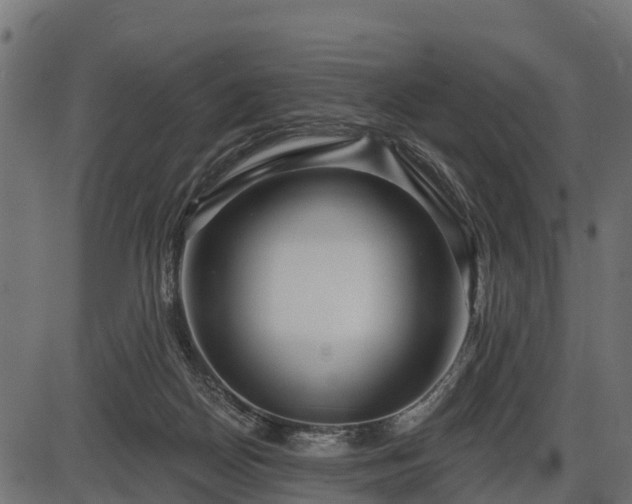 X0000086300170200704091030