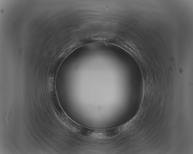 X0000086300171200704091030