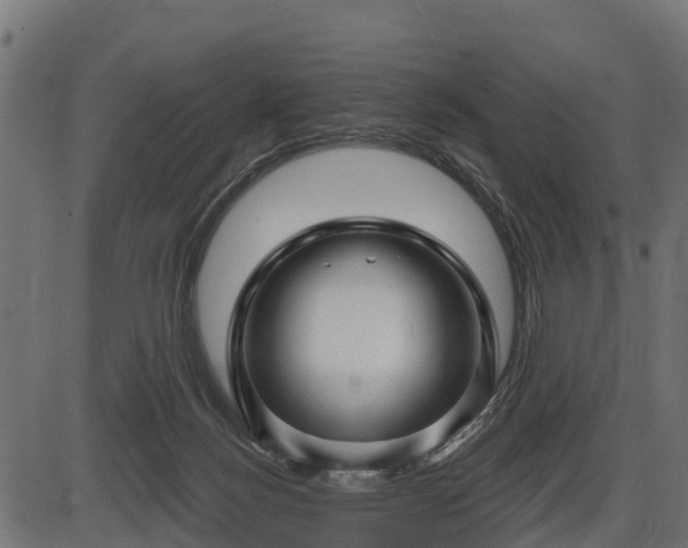 X0000086300172200704091030