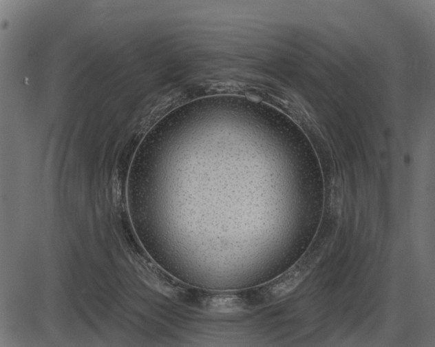 X0000086300173200704091030