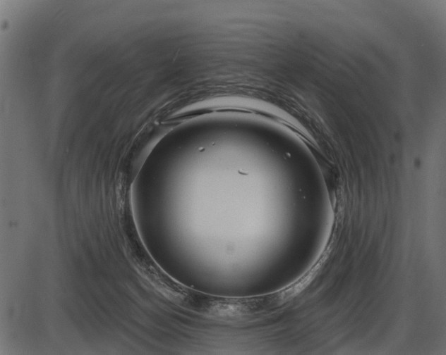 X0000086300174200704091030