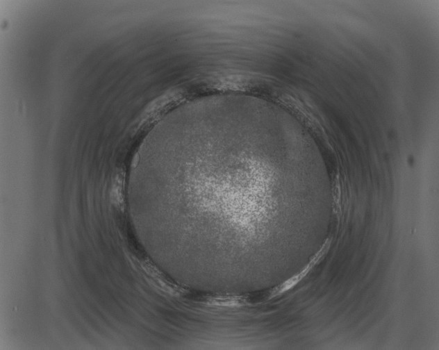 X0000086300175200704091030