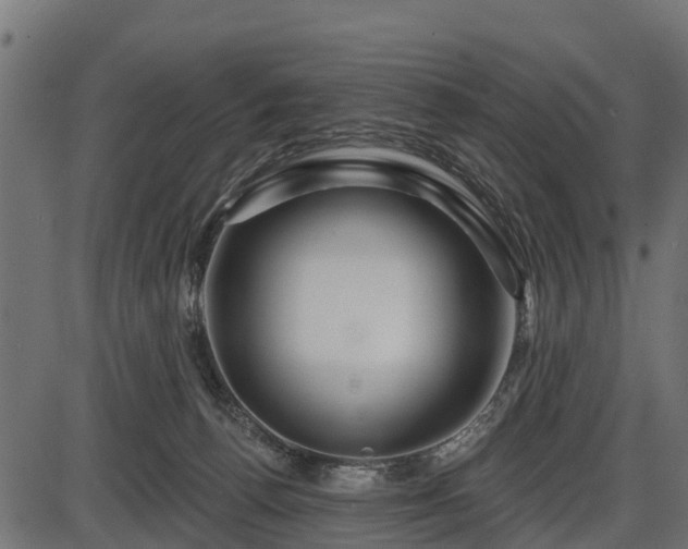 X0000086300176200704091030