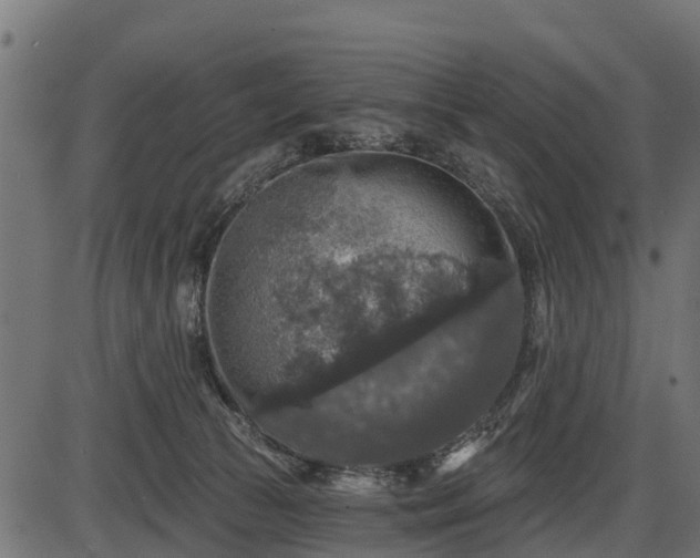 X0000086300177200704091030