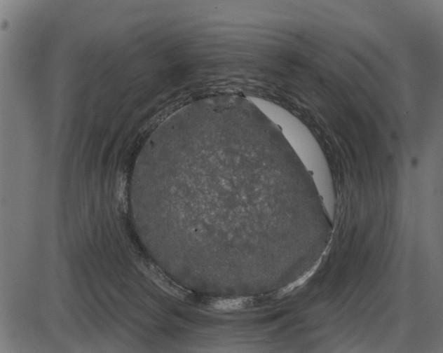 X0000086300178200704091030