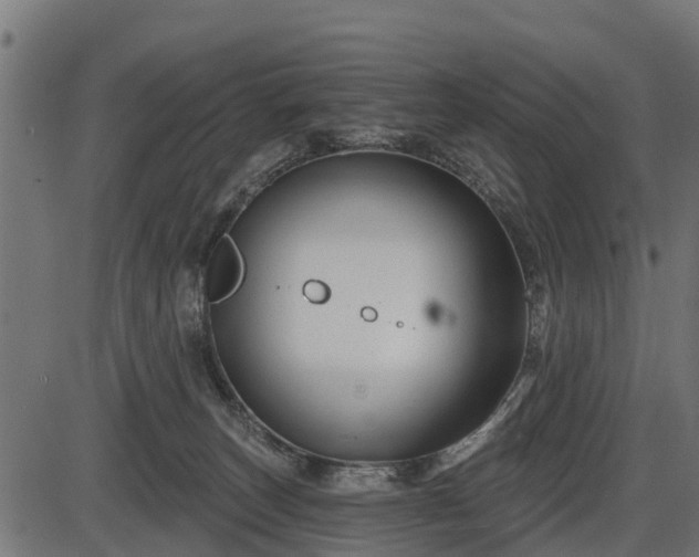 X0000086300179200704091030