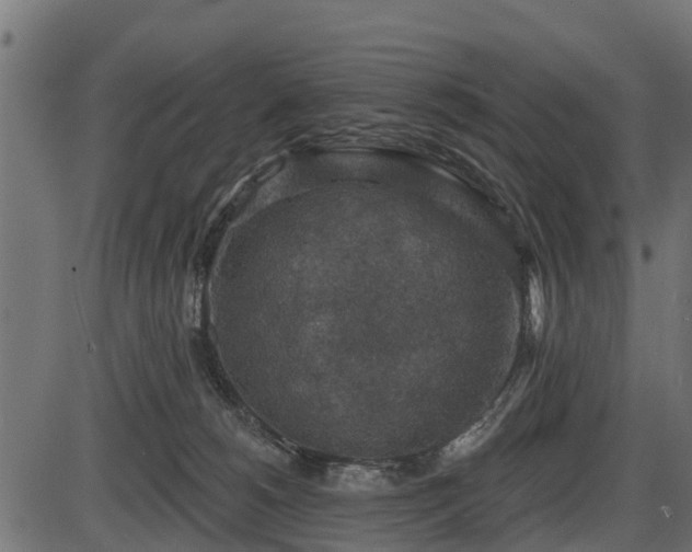 X0000086300180200704091030