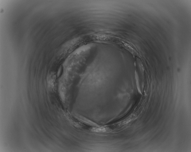 X0000086300181200704091030