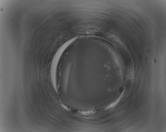 X0000086300182200704091030