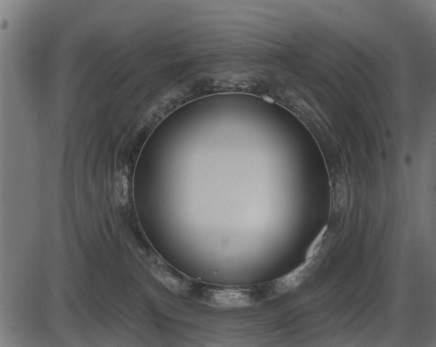 X0000086300183200704091030