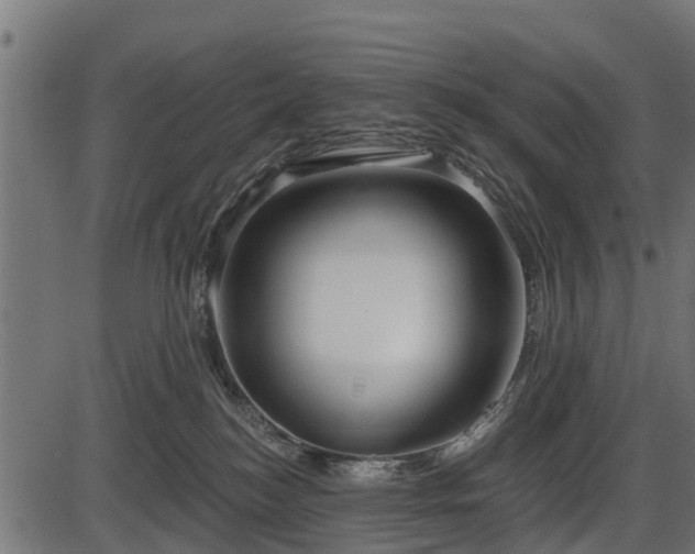 X0000086300184200704091030