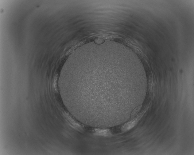 X0000086300185200704091031