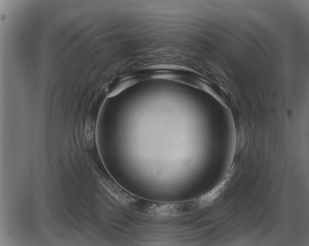 X0000086300186200704091031