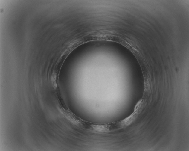 X0000086300187200704091031