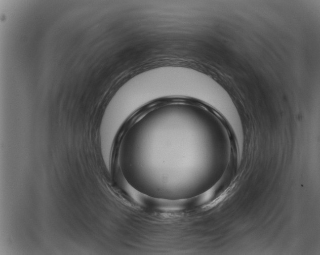 X0000086300188200704091031