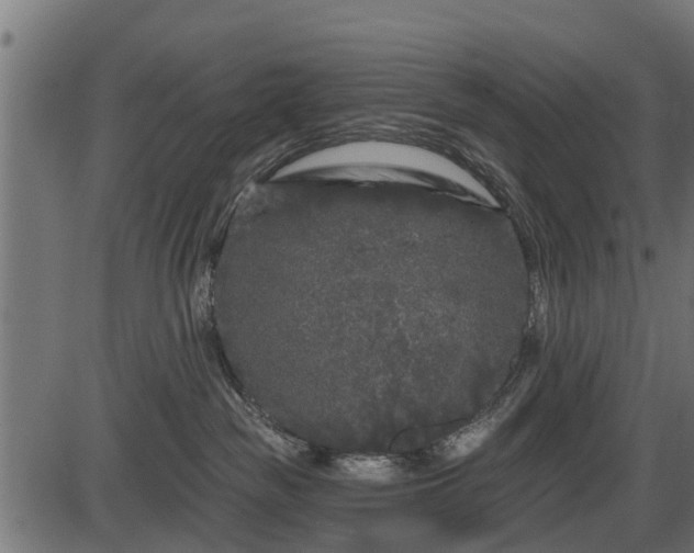 X0000086300189200704091031