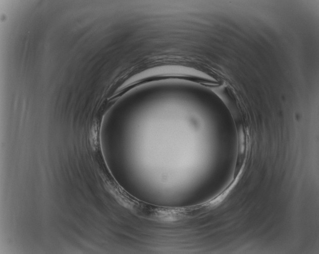 X0000086300190200704091031