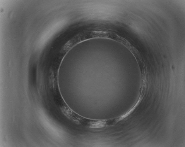 X0000086300191200704091031