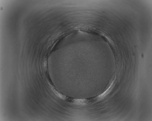 X0000086300192200704091031