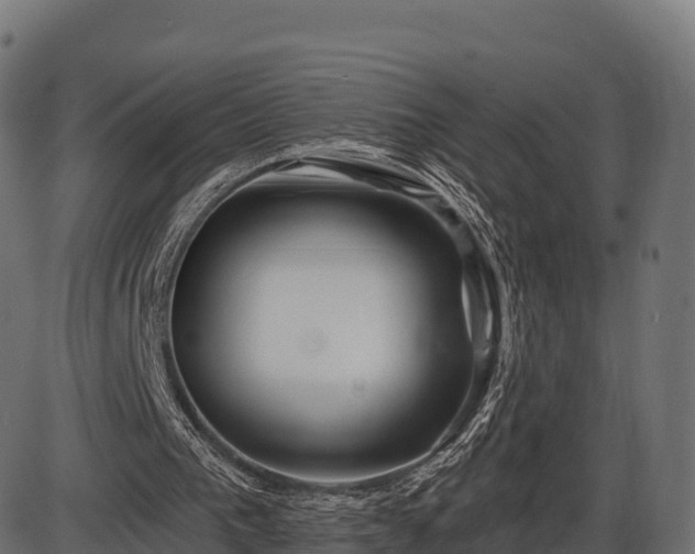 X0000086300193200704091030