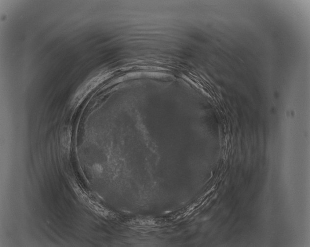 X0000086300194200704091030