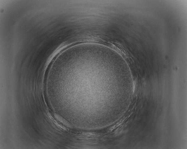 X0000086300195200704091030