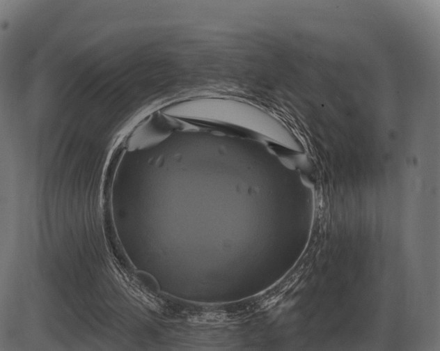 X0000086300196200704091030