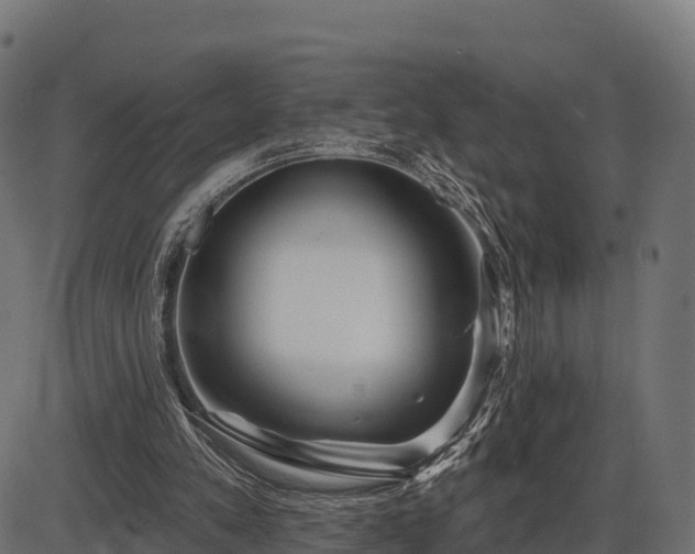 X0000086300197200704091030