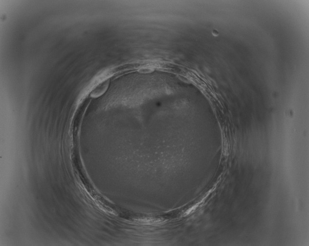 X0000086300198200704091030