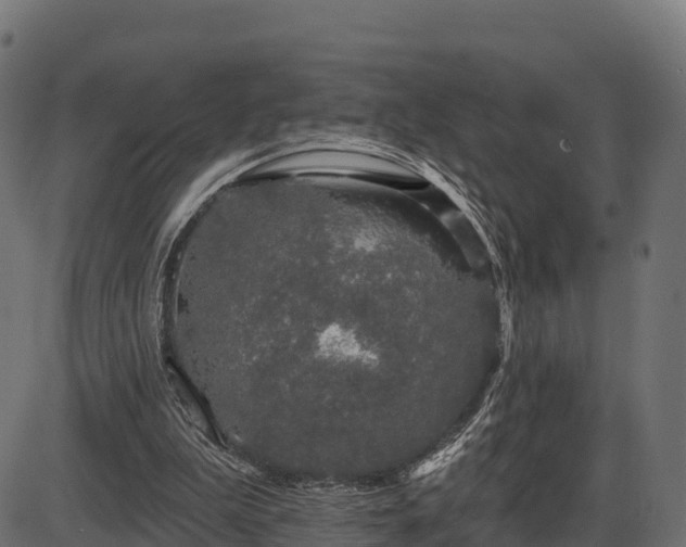 X0000086300199200704091030