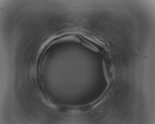 X0000086300200200704091030