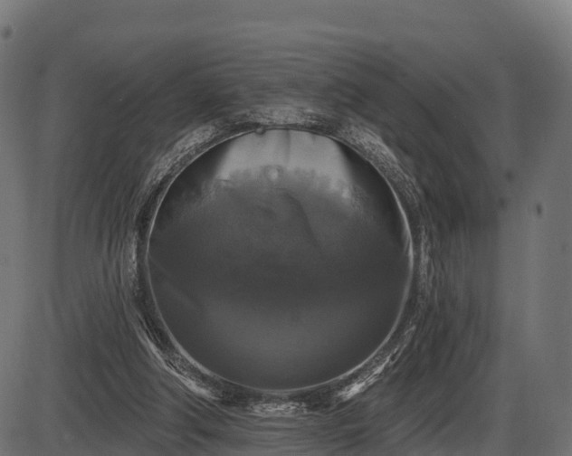 X0000086300202200704091030