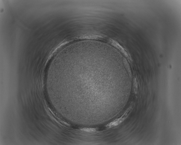 X0000086300203200704091030