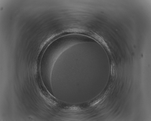 X0000086300204200704091030