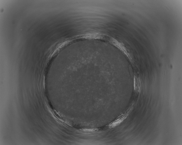 X0000086300205200704091030