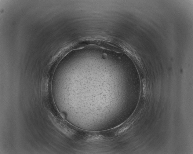 X0000086300206200704091030