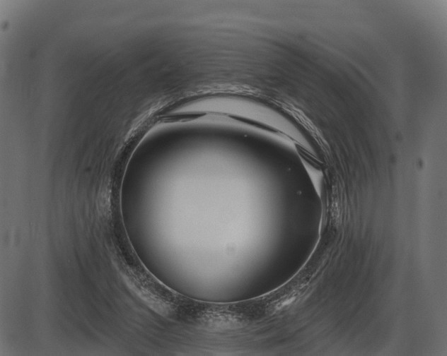 X0000086300207200704091030