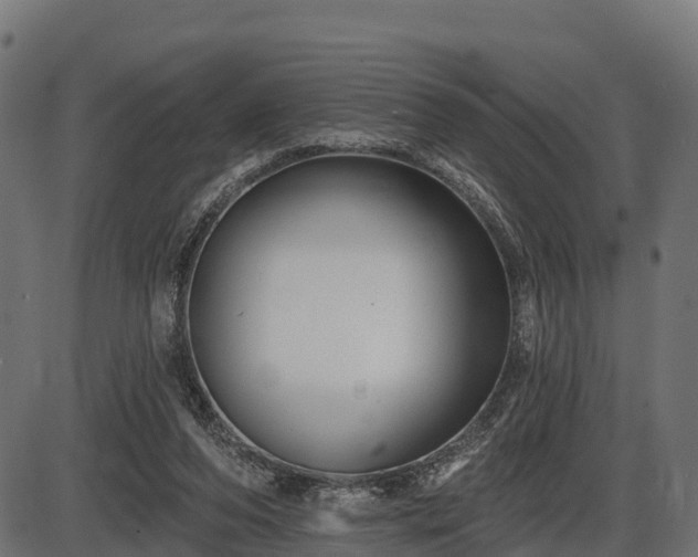 X0000086300208200704091030