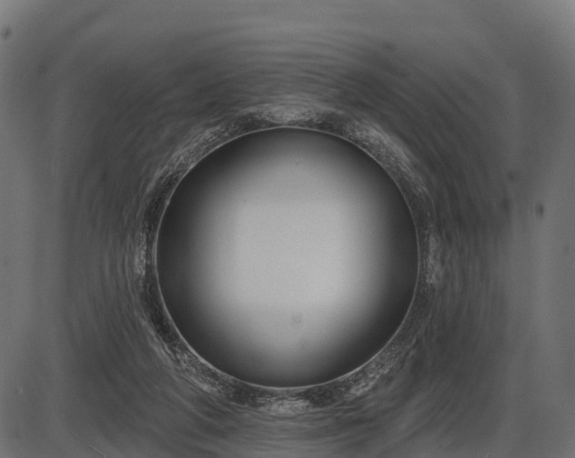 X0000086300210200704091030