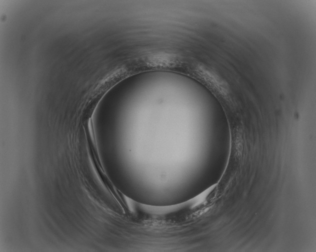 X0000086300211200704091030