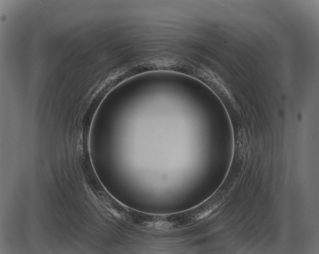 X0000086300212200704091029