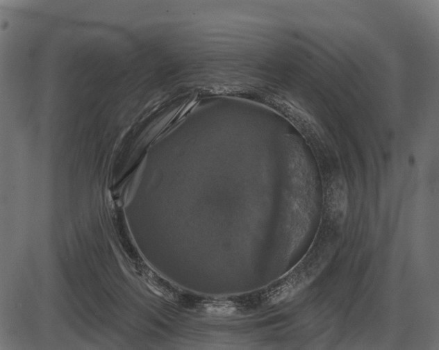 X0000086300214200704091029