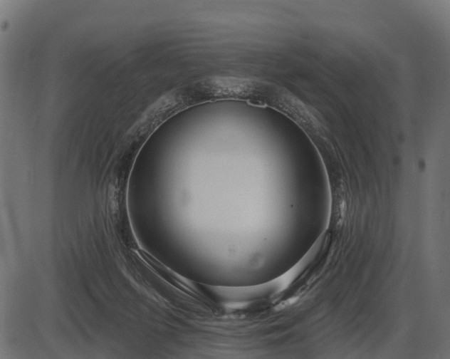 X0000086300215200704091029