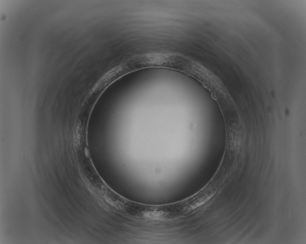 X0000086300216200704091029