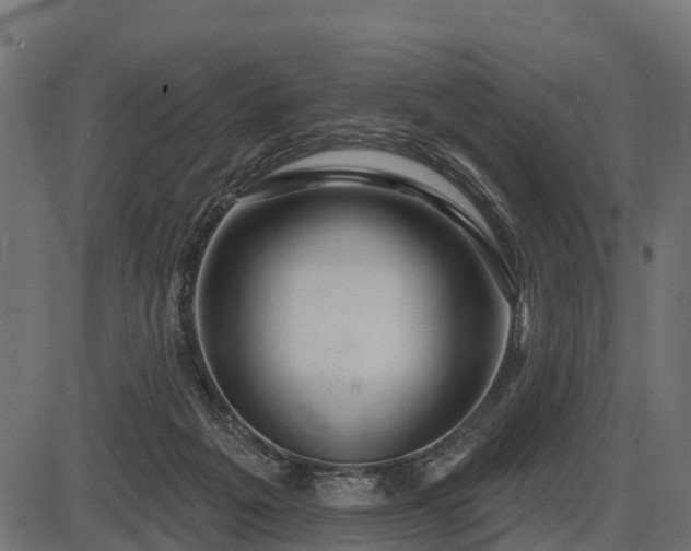 X0000086300217200704091029