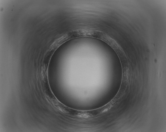 X0000086300218200704091029