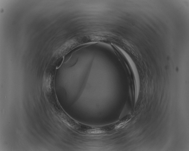 X0000086300219200704091029