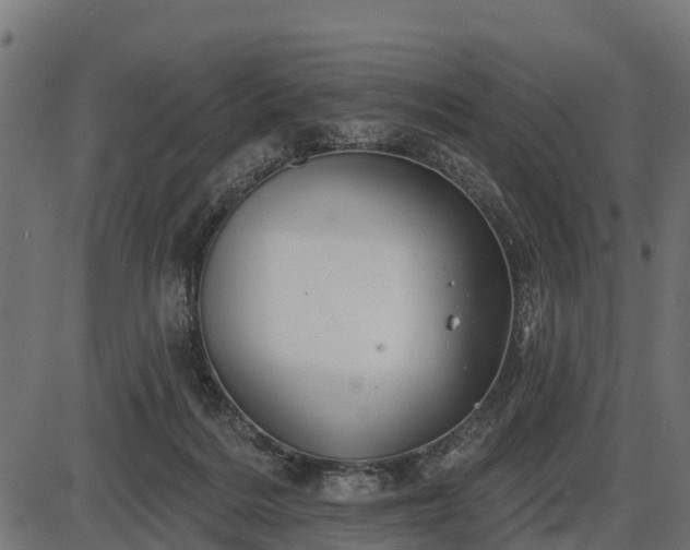 X0000086300220200704091029