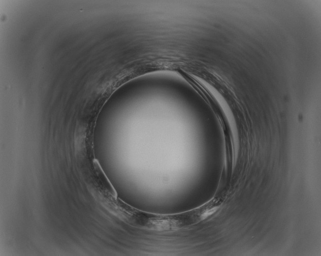 X0000086300221200704091029