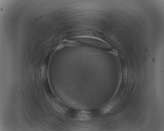 X0000086300222200704091029